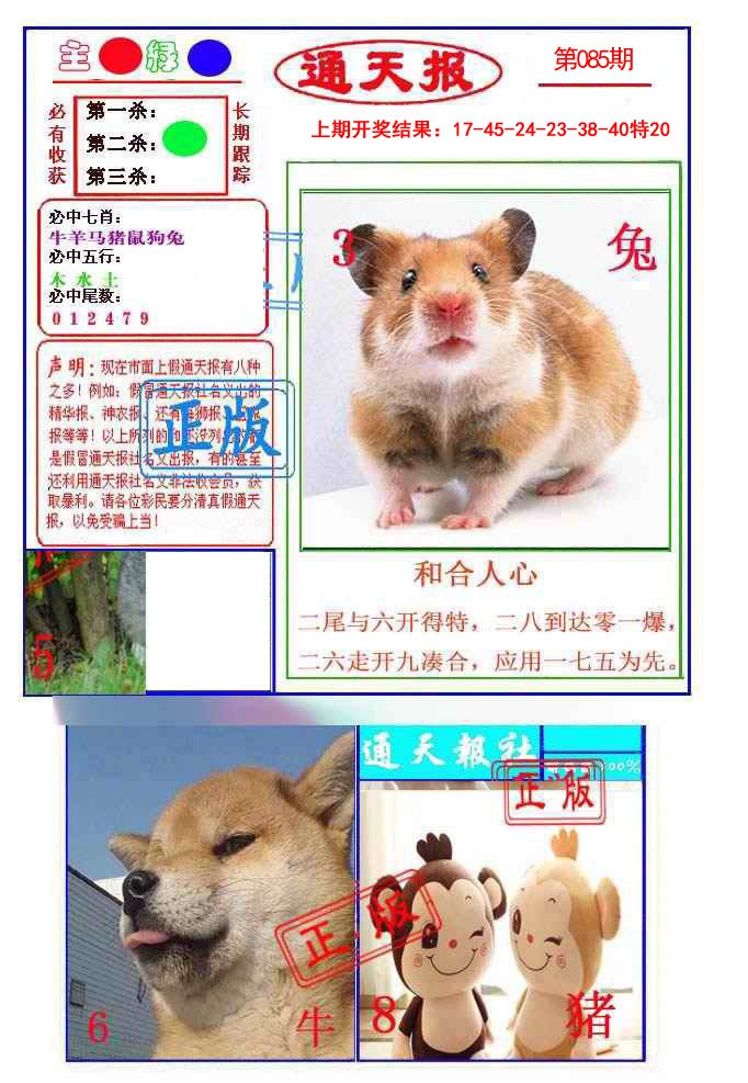2025085期通天杀波图1