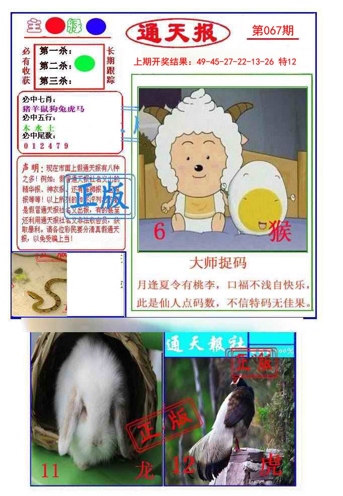 2025067期通天杀波图1