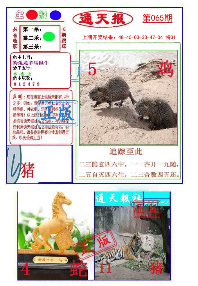 2025065期通天杀波图1