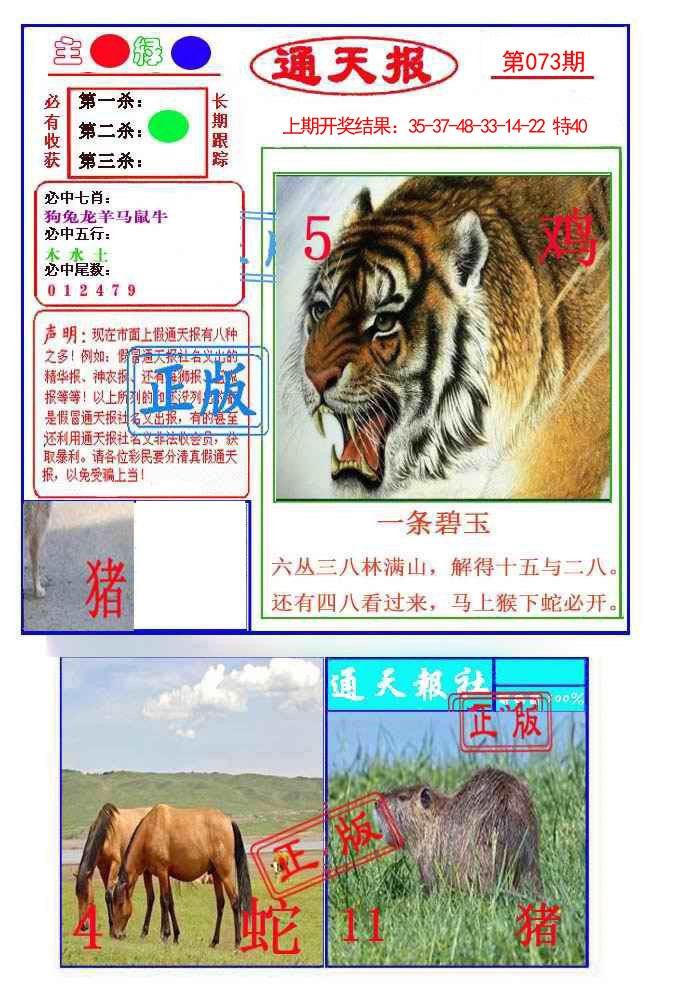 2025073期通天杀波图1