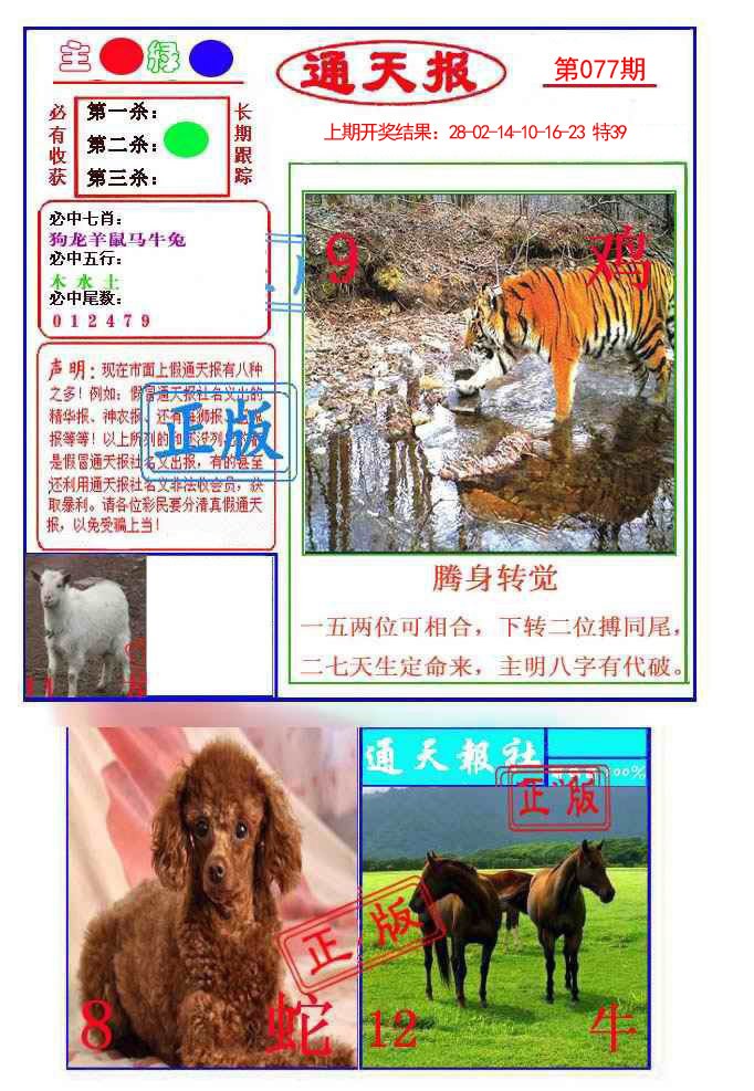 2025077期通天杀波图1
