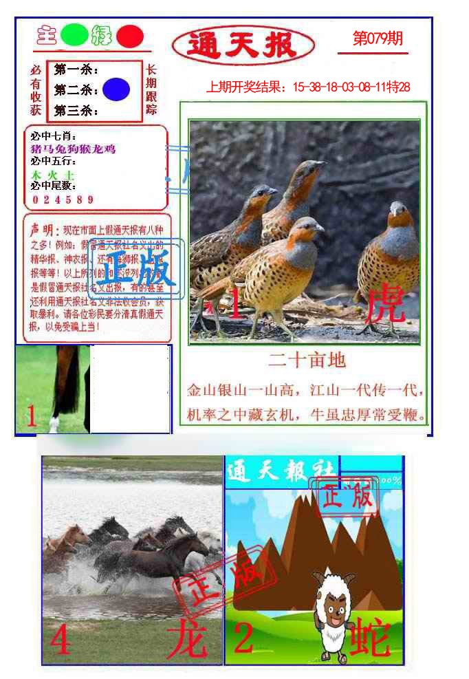 2025079期通天杀波图1