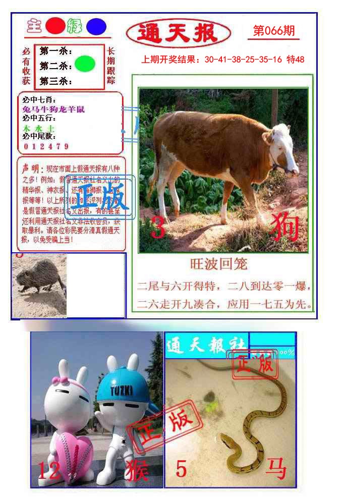 2025066期通天杀波图1