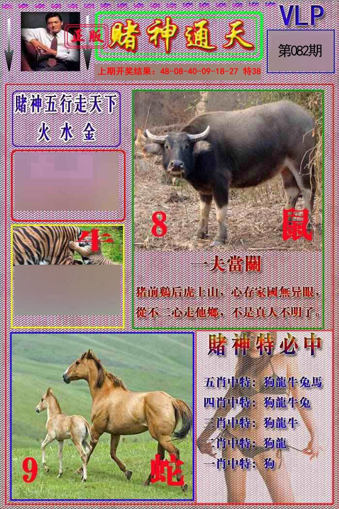 2025082期赌神通天报