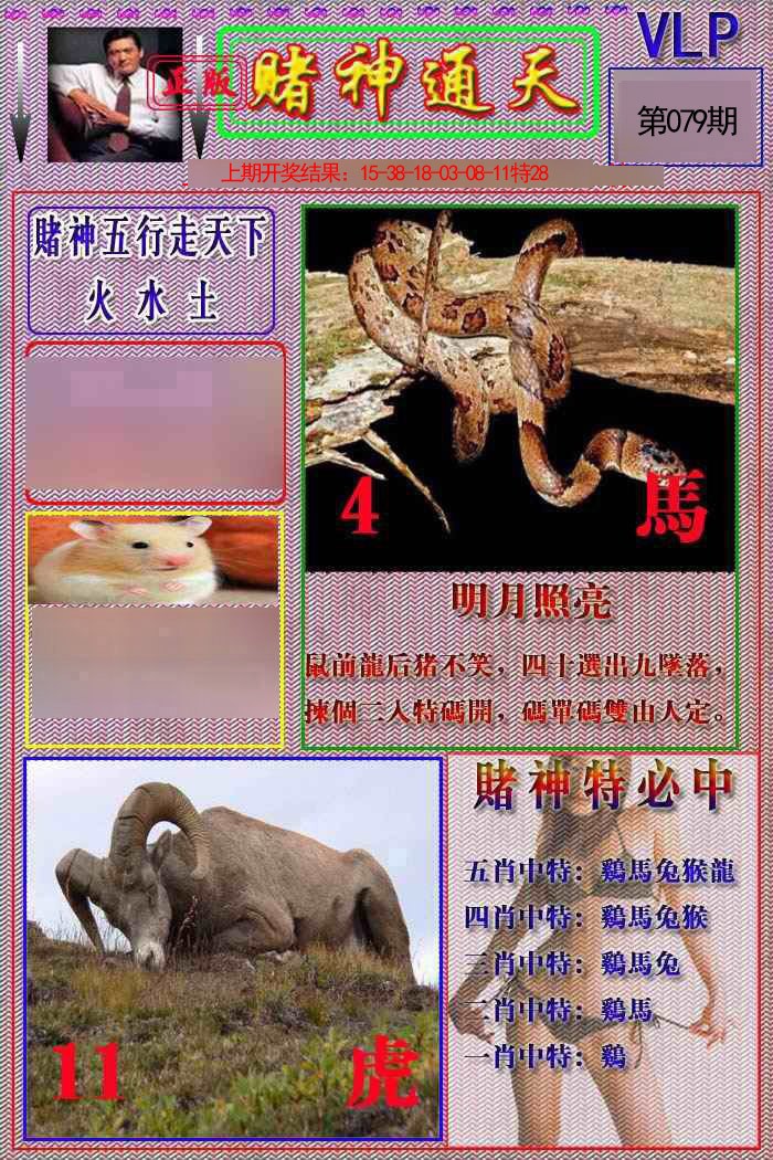 2025079期赌神通天报