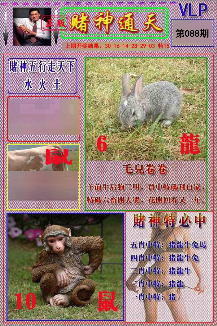 2025088期赌神通天报