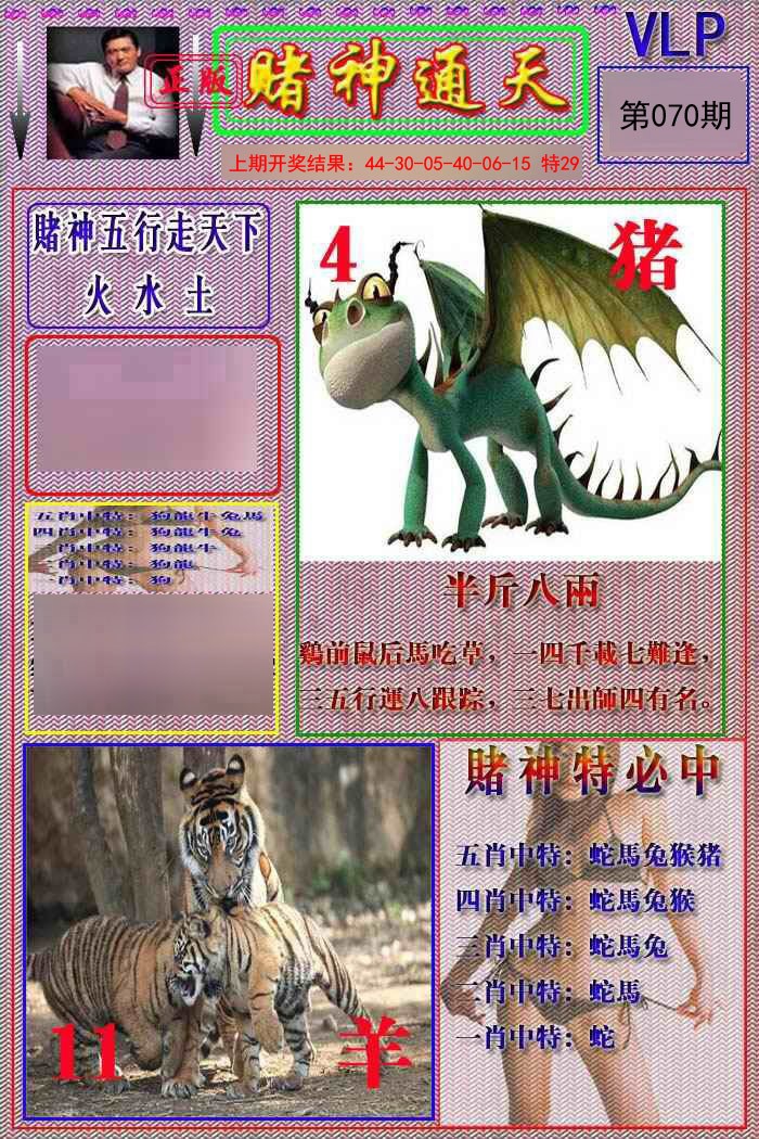 2025070期赌神通天报