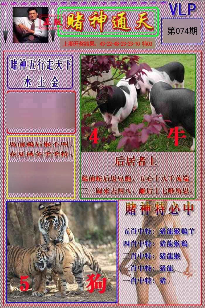 2025074期赌神通天报