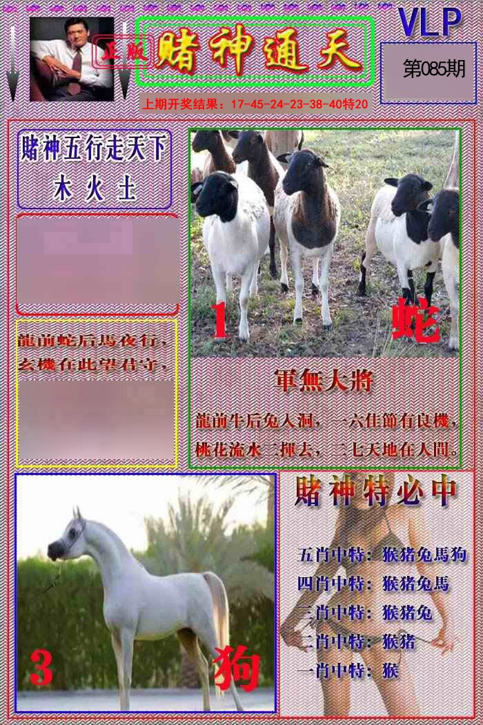 2025085期赌神通天报