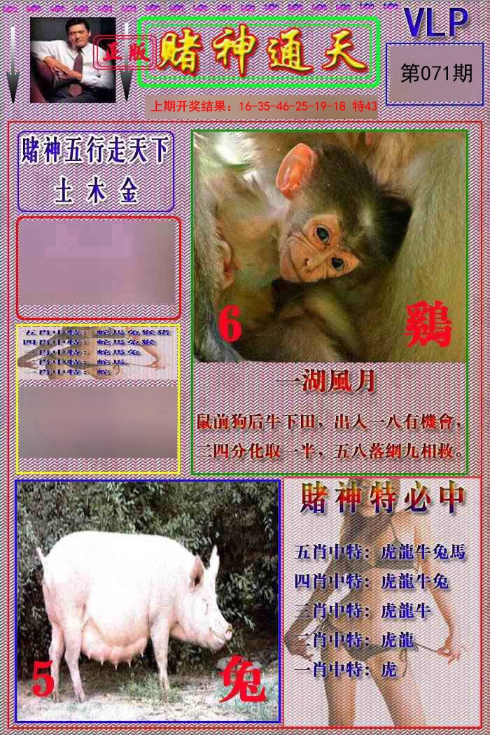 2025071期赌神通天报