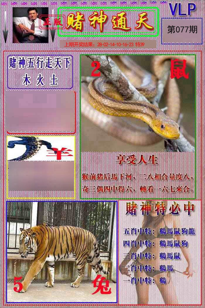 2025077期赌神通天报