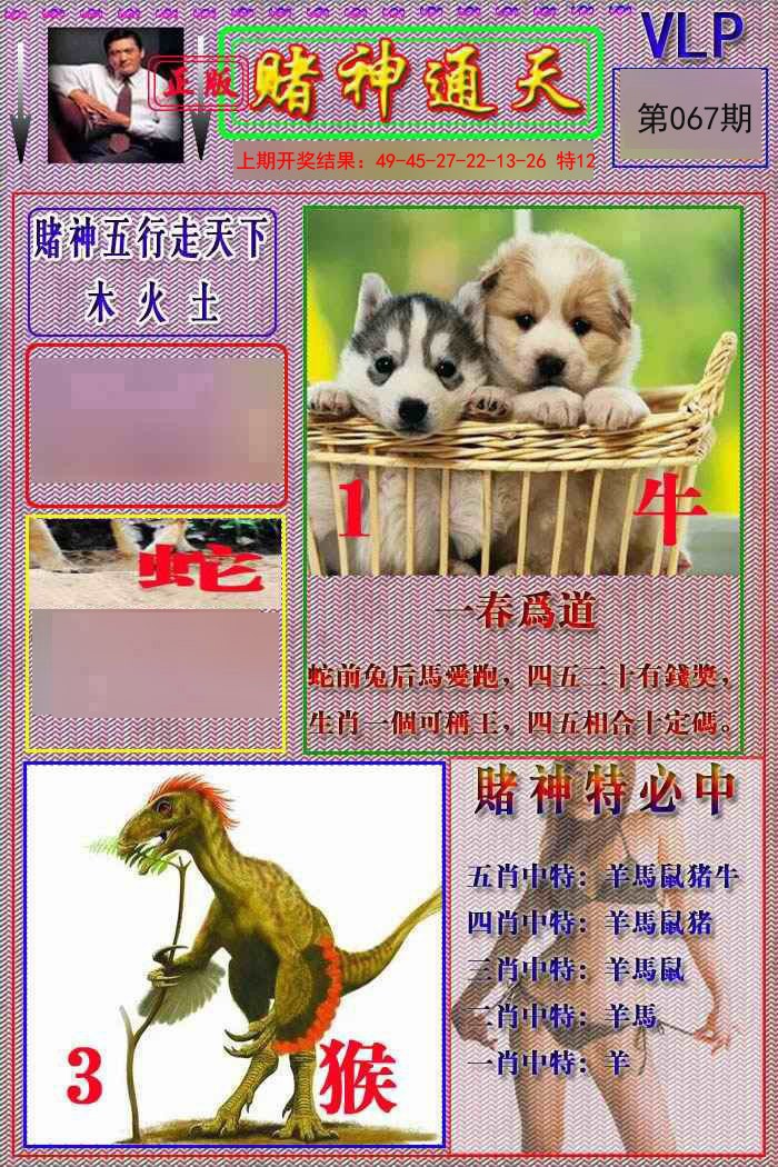 2025067期赌神通天报