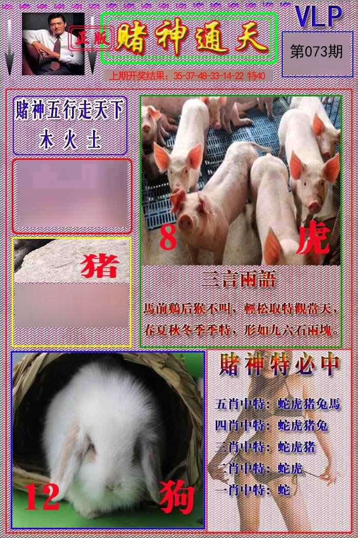 2025073期赌神通天报