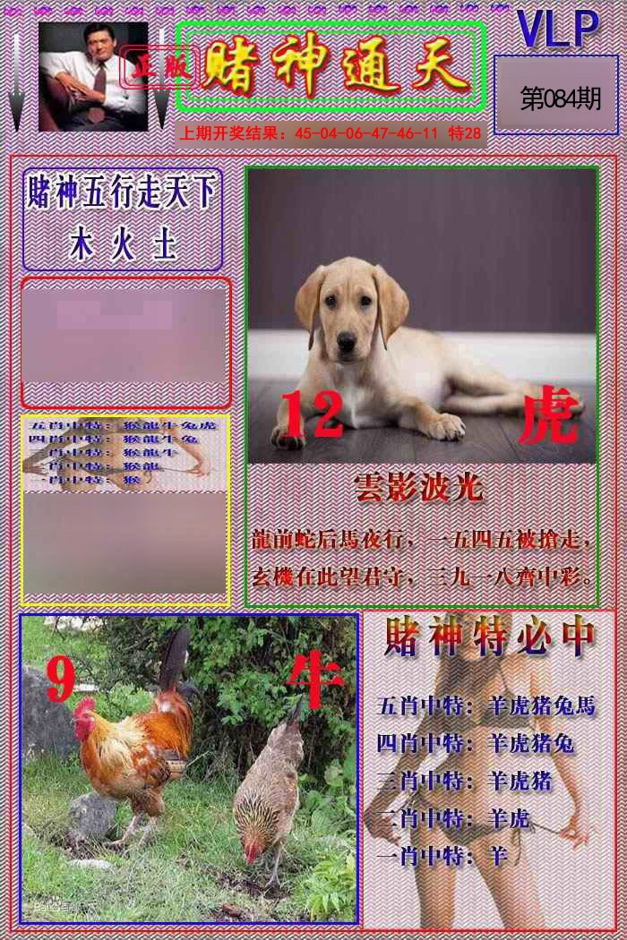 2025084期赌神通天报