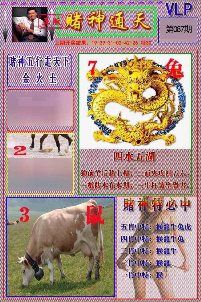 2025087期赌神通天报