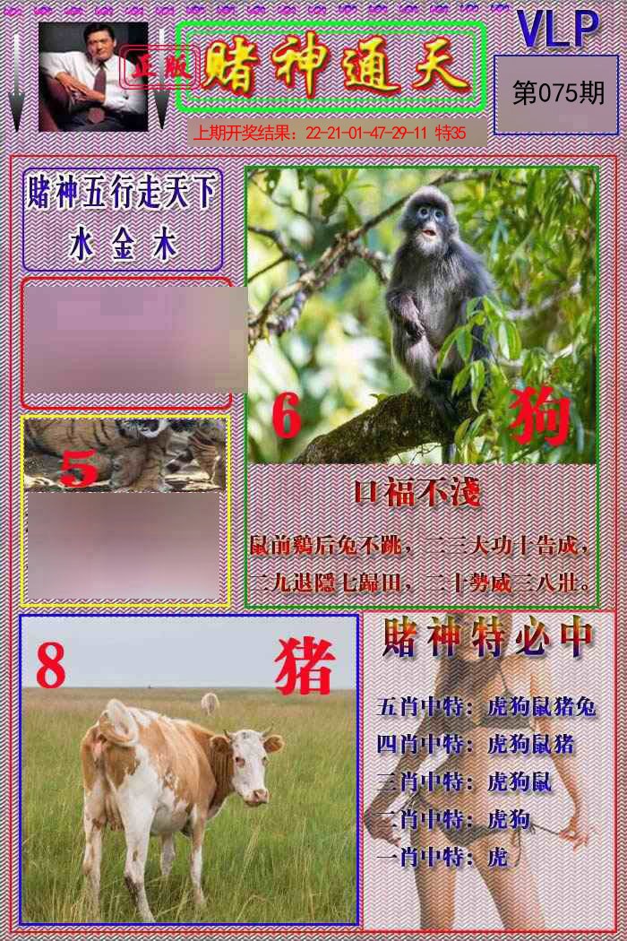 2025075期赌神通天报