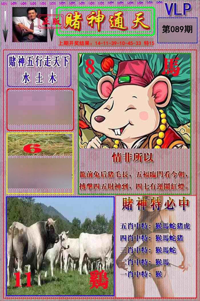 2025089期赌神通天报