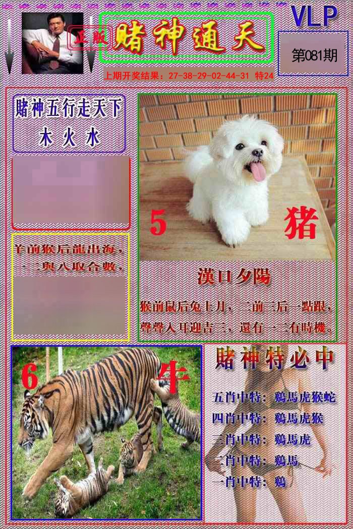 2025081期赌神通天报