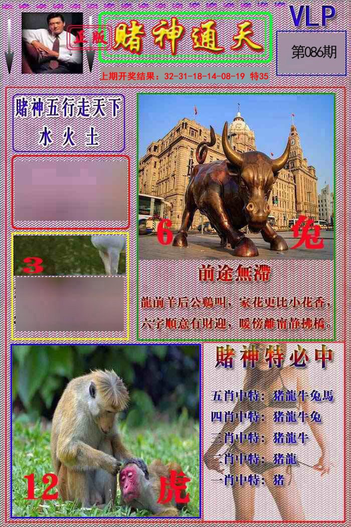 2025086期赌神通天报