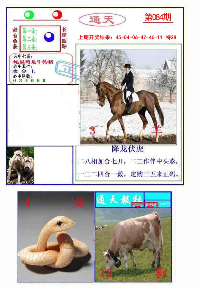 2025084期通天杀波图2