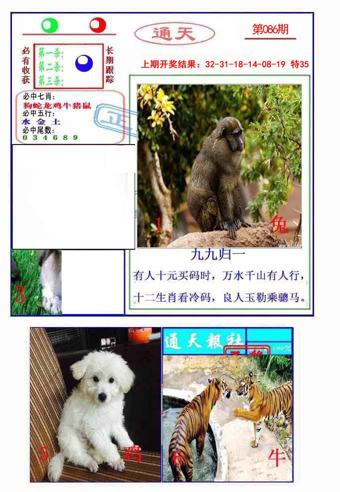 2025086期通天杀波图2