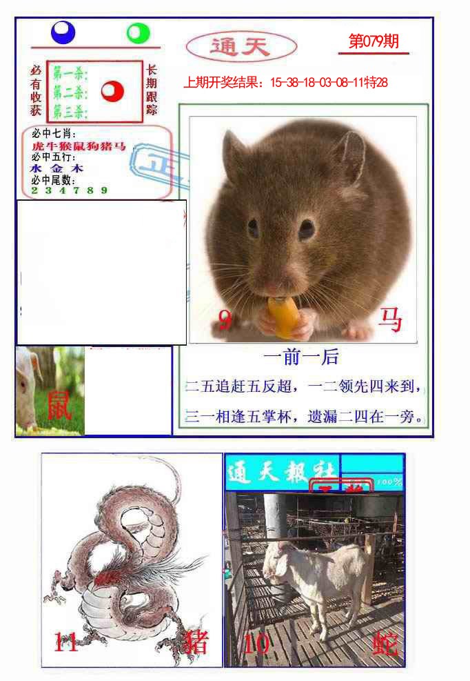 2025079期通天杀波图2