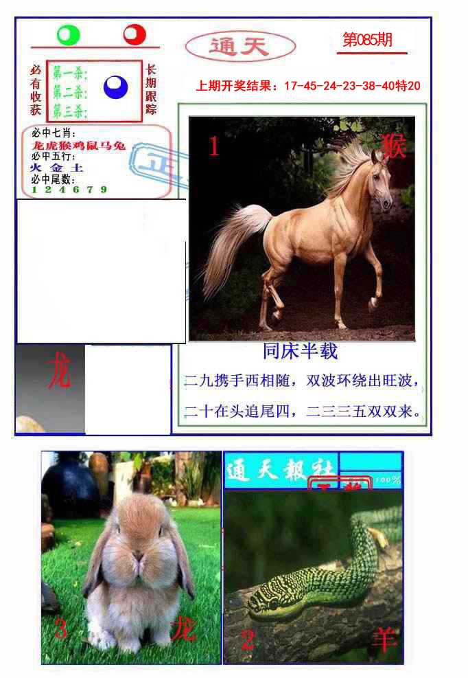 2025085期通天杀波图2