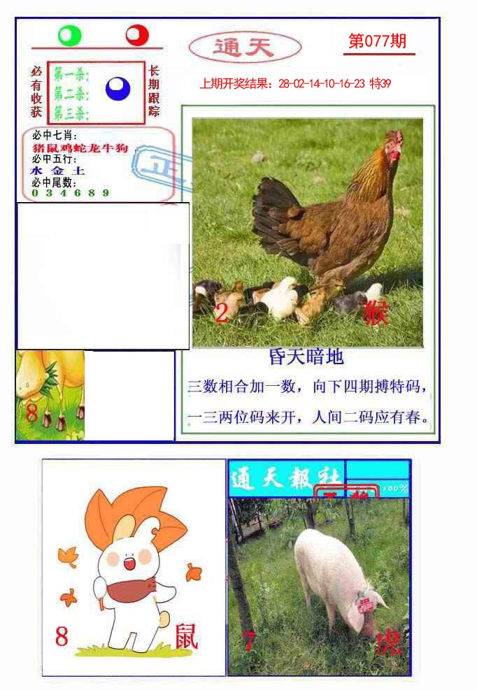 2025077期通天杀波图2
