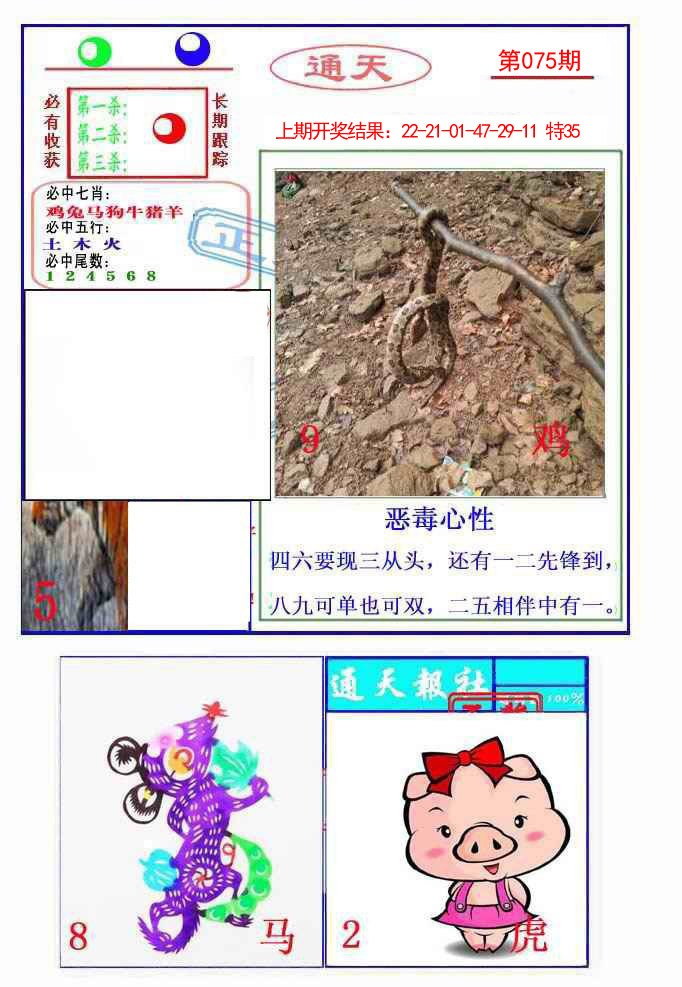 2025075期通天杀波图2
