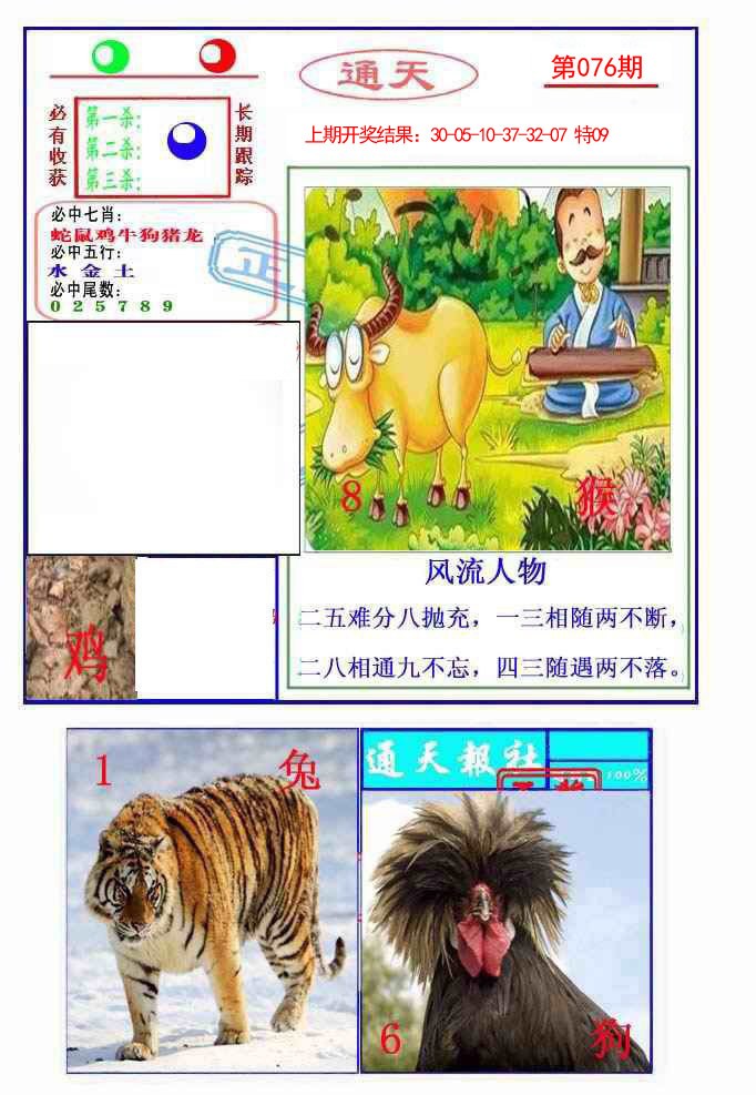 2025076期通天杀波图2