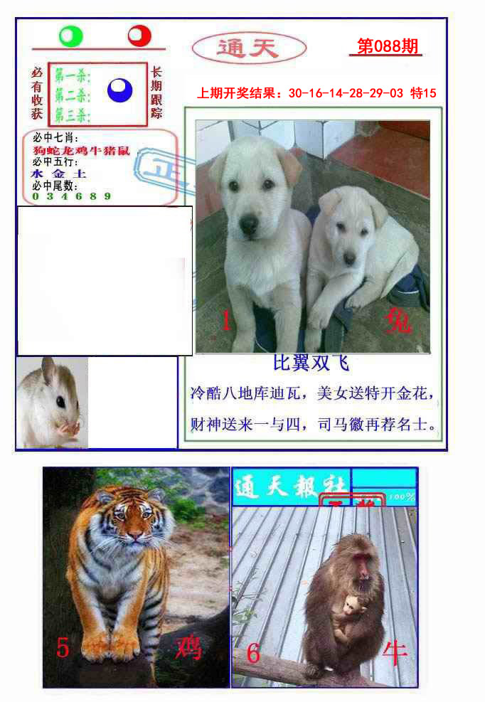 2025088期通天杀波图2