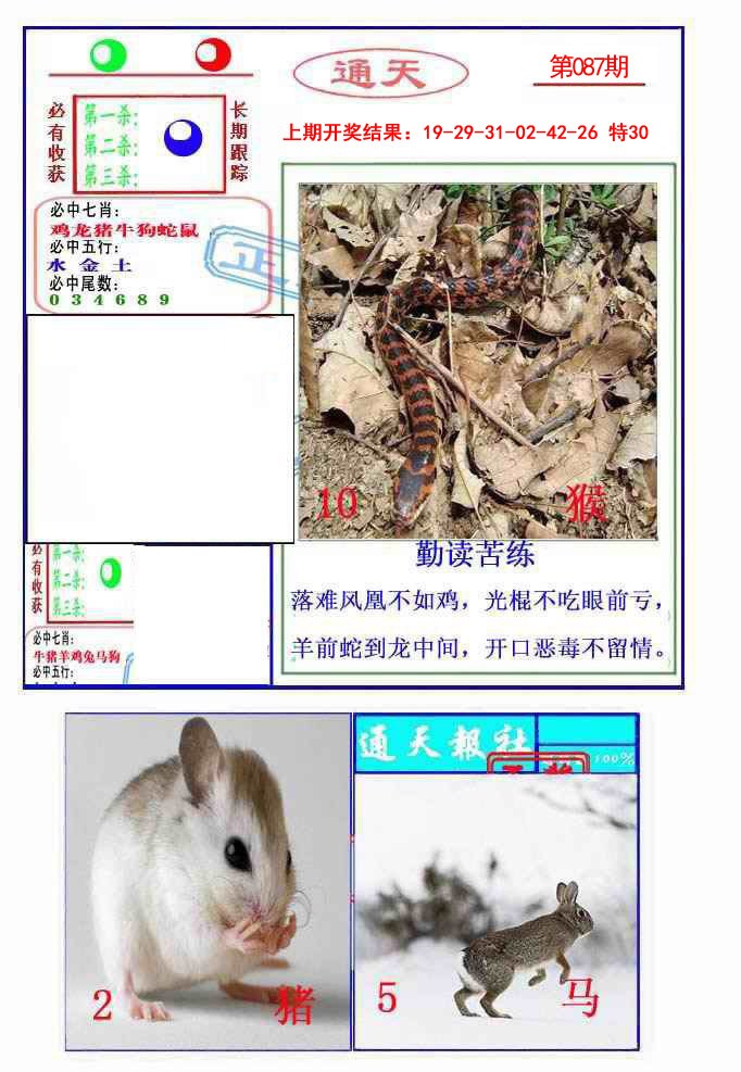 2025087期通天杀波图2