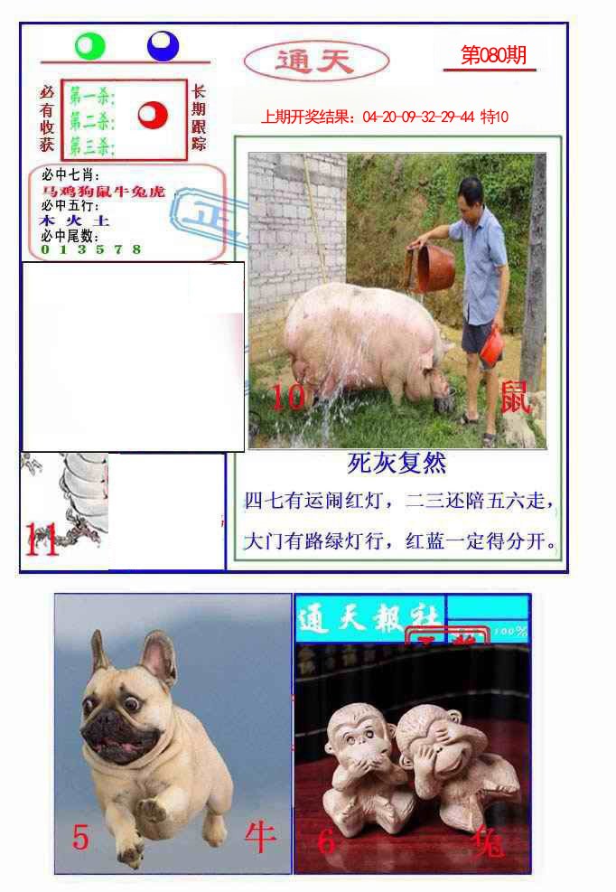 2025080期通天杀波图2