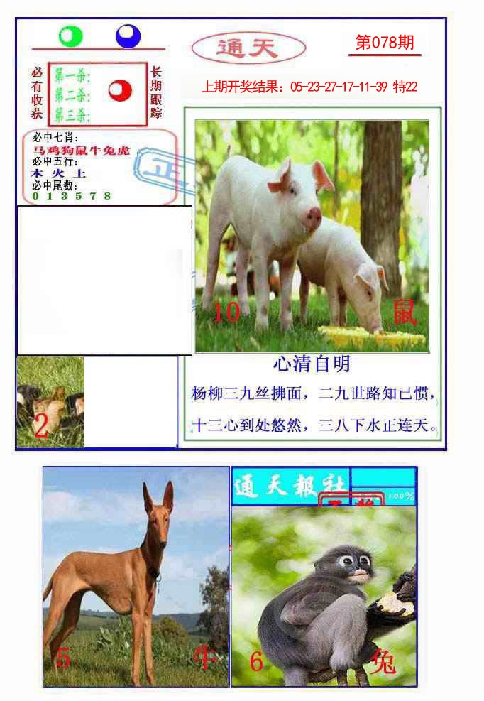 2025078期通天杀波图2