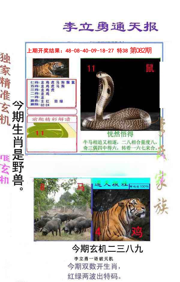 2025082期李立勇通天报
