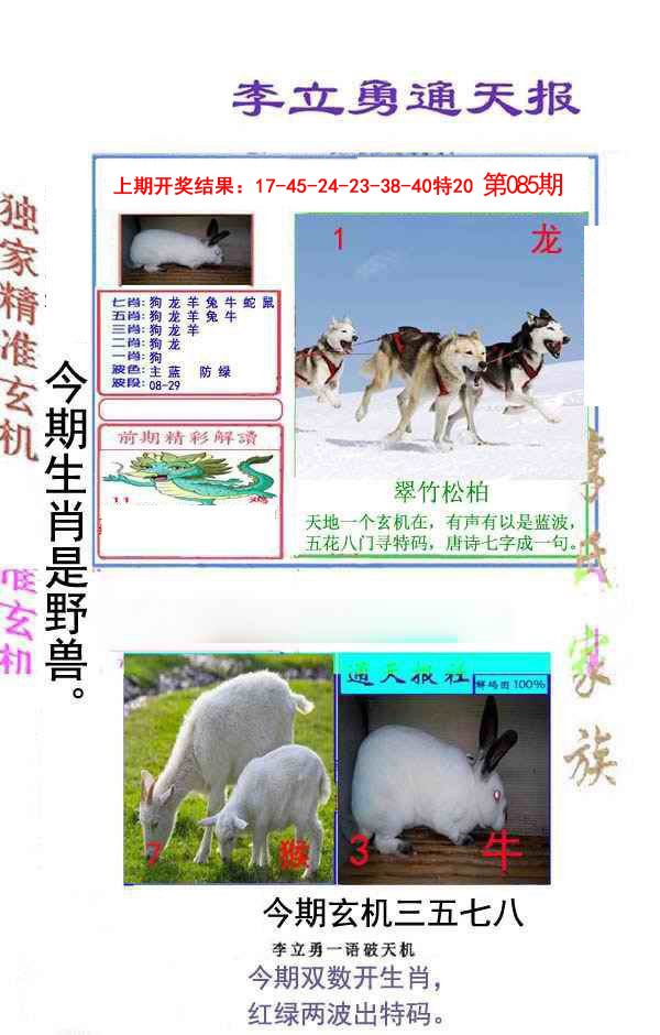 2025085期李立勇通天报