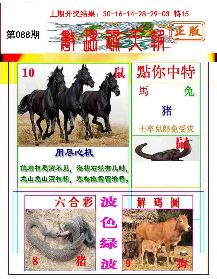 2025088期数理通天