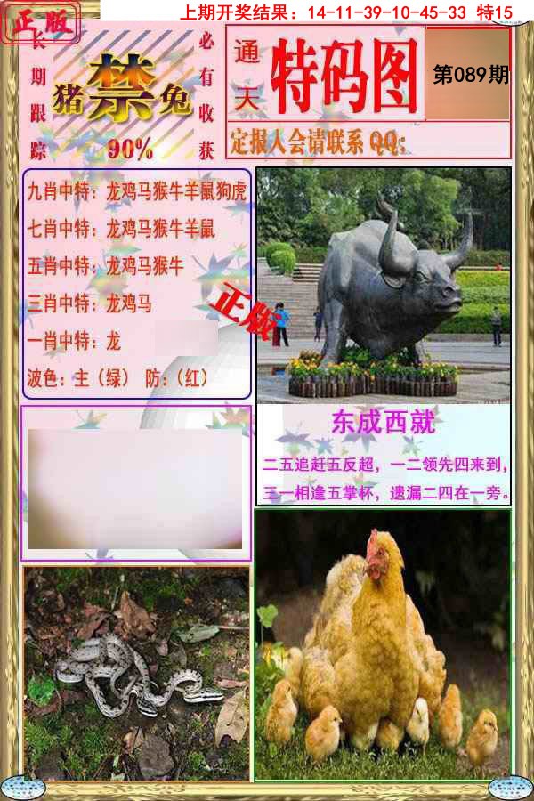 2025089期特码图