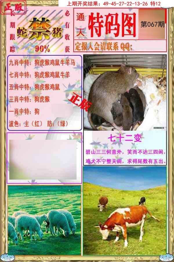 2025067期特码图