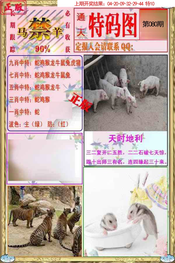 2025080期特码图