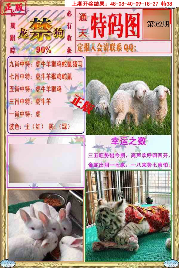2025082期特码图