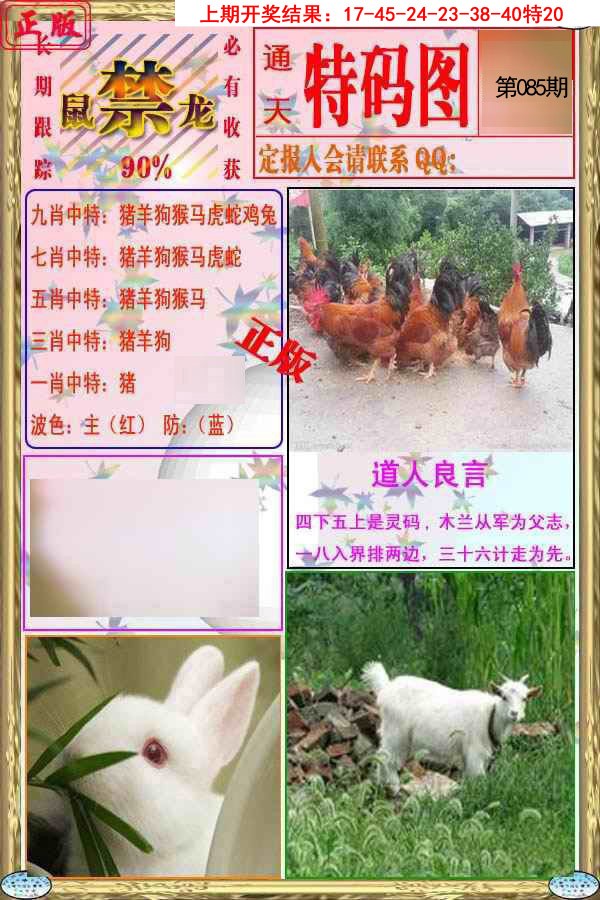 2025085期特码图