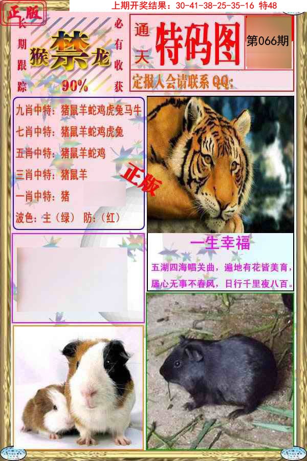 2025066期特码图