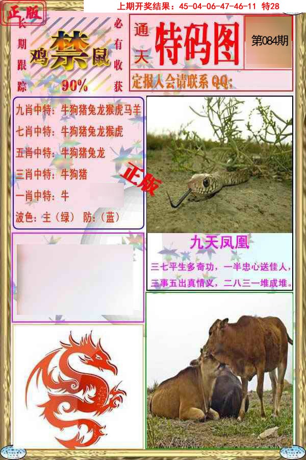 2025084期特码图