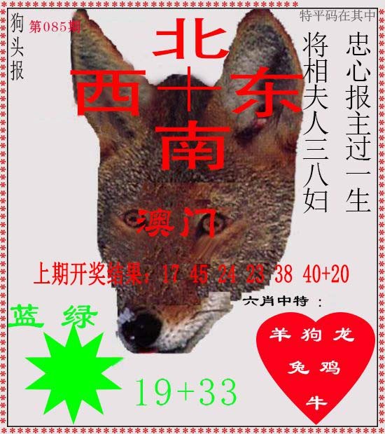 2025085期狗头报