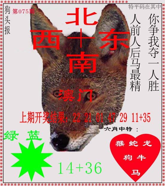 2025075期狗头报