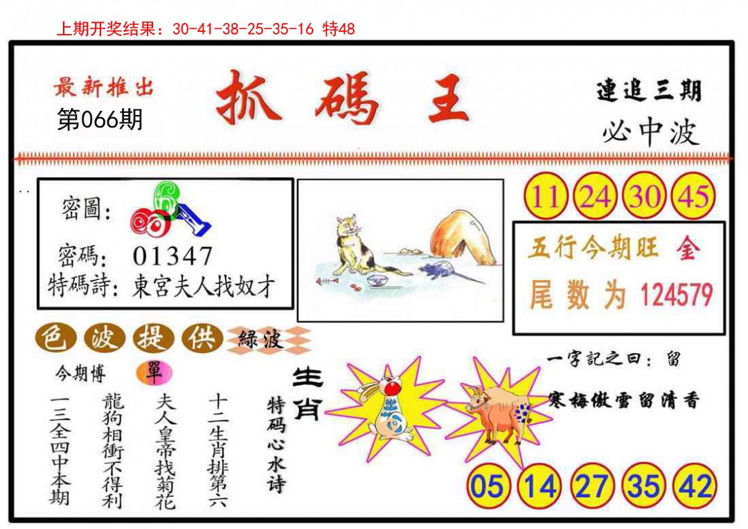 2025066期抓码王