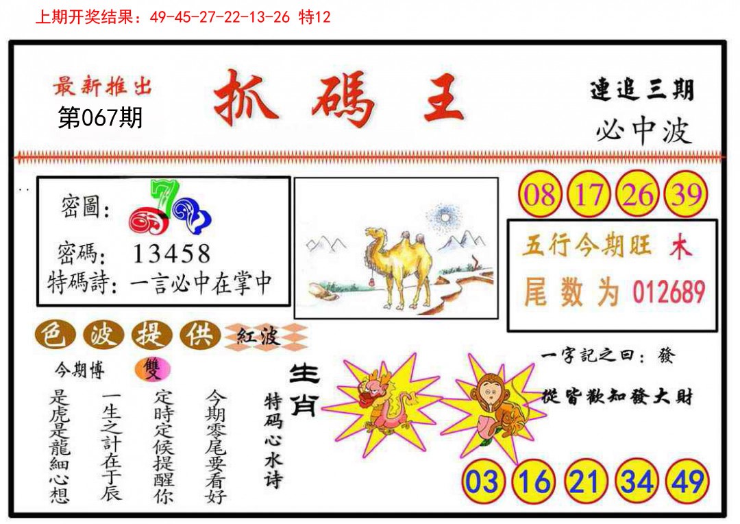 2025067期抓码王