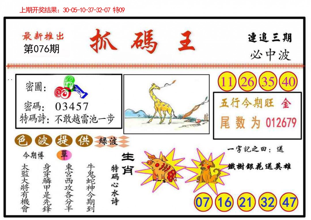2025076期抓码王