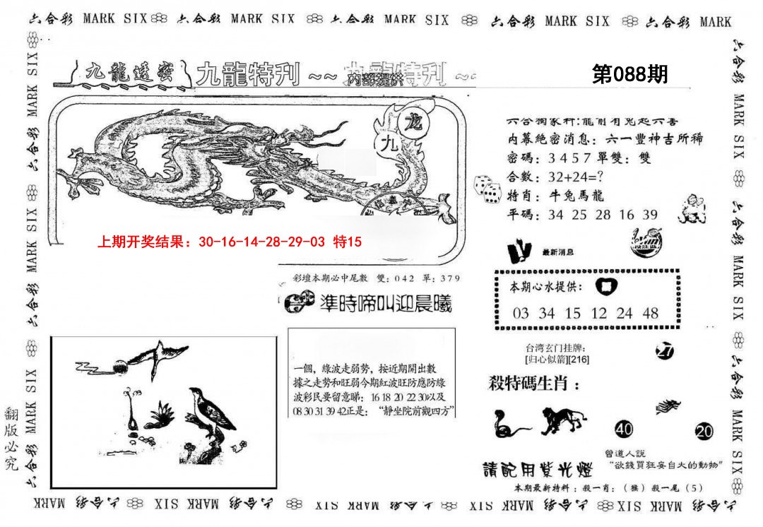 2025088期九龙特新刊